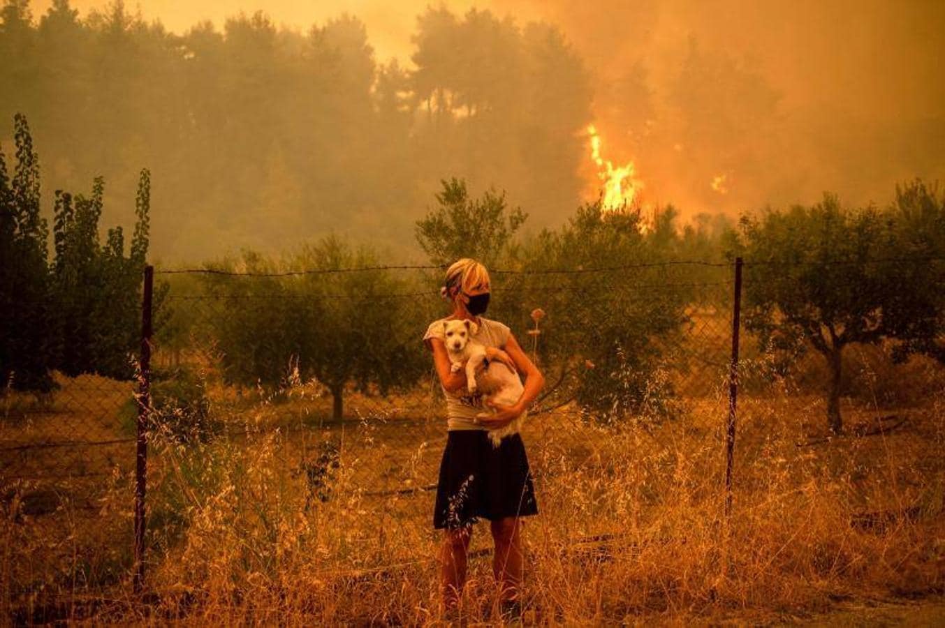 Una mujer sostiene un perro en sus brazos mientras los incendios mientras los incendios forestales se acercan a la aldea de Pefki en la isla de Evia. 