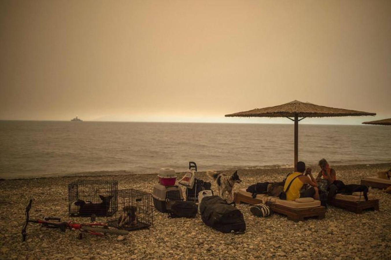 Personas con sus mascotas y algunas pertenencias se sientan en la playa para evitar que les alcance el fuego. 