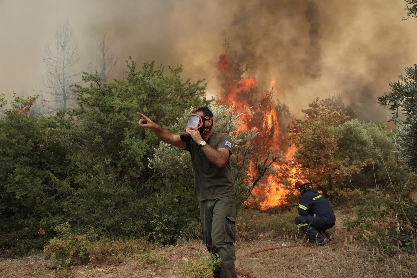 Los bomberos tratan de extinguir el incendio de la isla de Evia en el octavo día. 