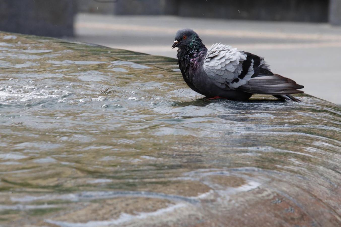 En imágenes, Córdoba se prepara para la gran ola de calor del verano