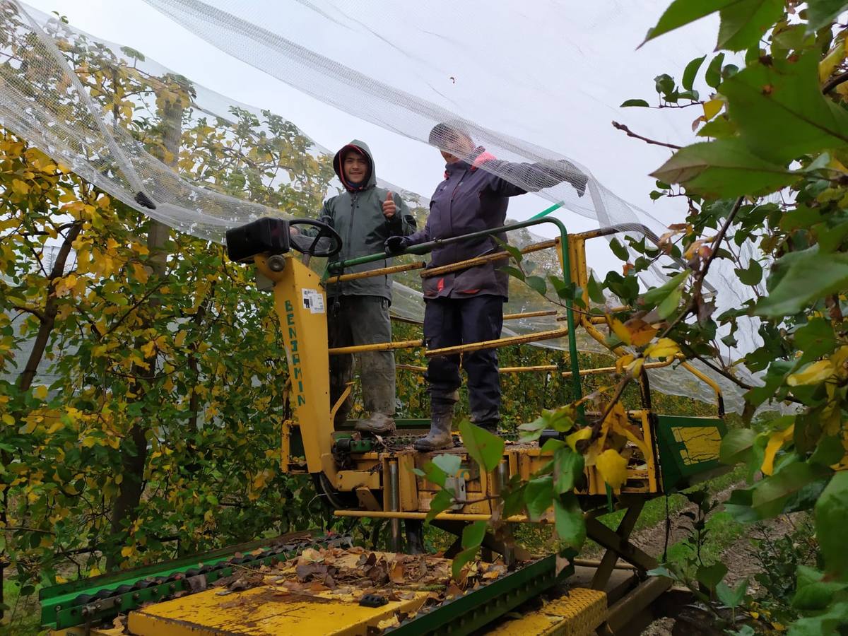 Los temporeros gaditanos parten a la vendimia en Francia