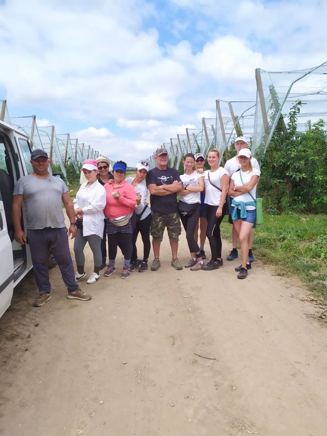 Los temporeros gaditanos parten a la vendimia en Francia