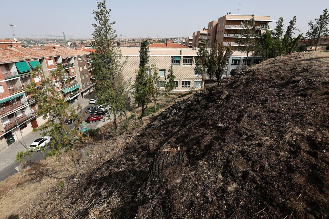 El Paseo de la Vega, en imágenes