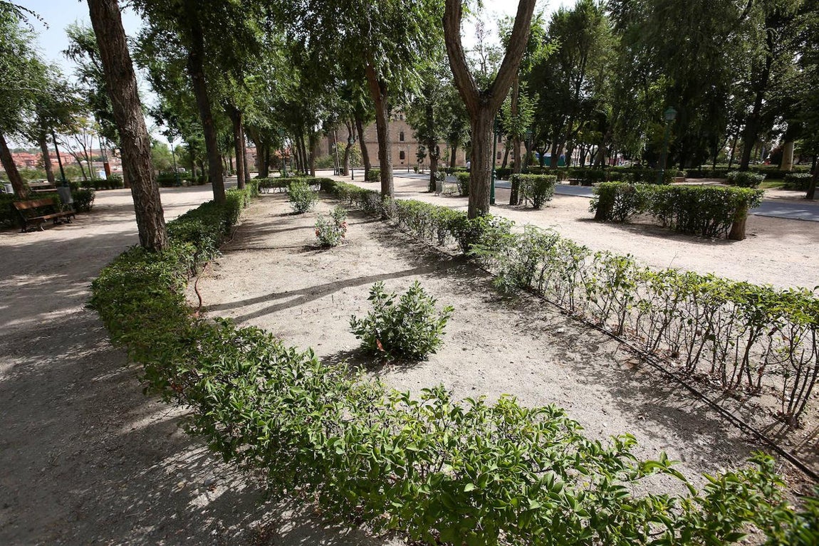 El Paseo de la Vega, en imágenes