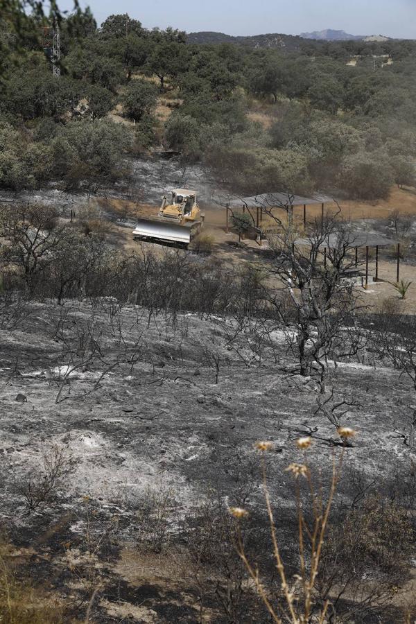 La extinción del incendio forestal de Villaharta, en imágenes