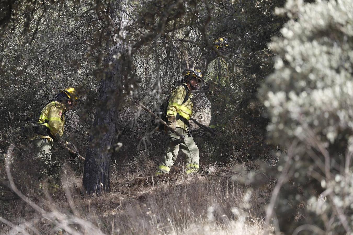 La extinción del incendio forestal de Villaharta, en imágenes