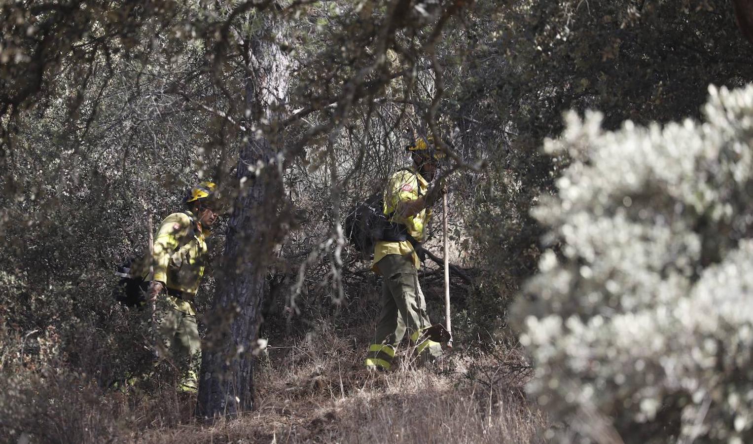 La extinción del incendio forestal de Villaharta, en imágenes