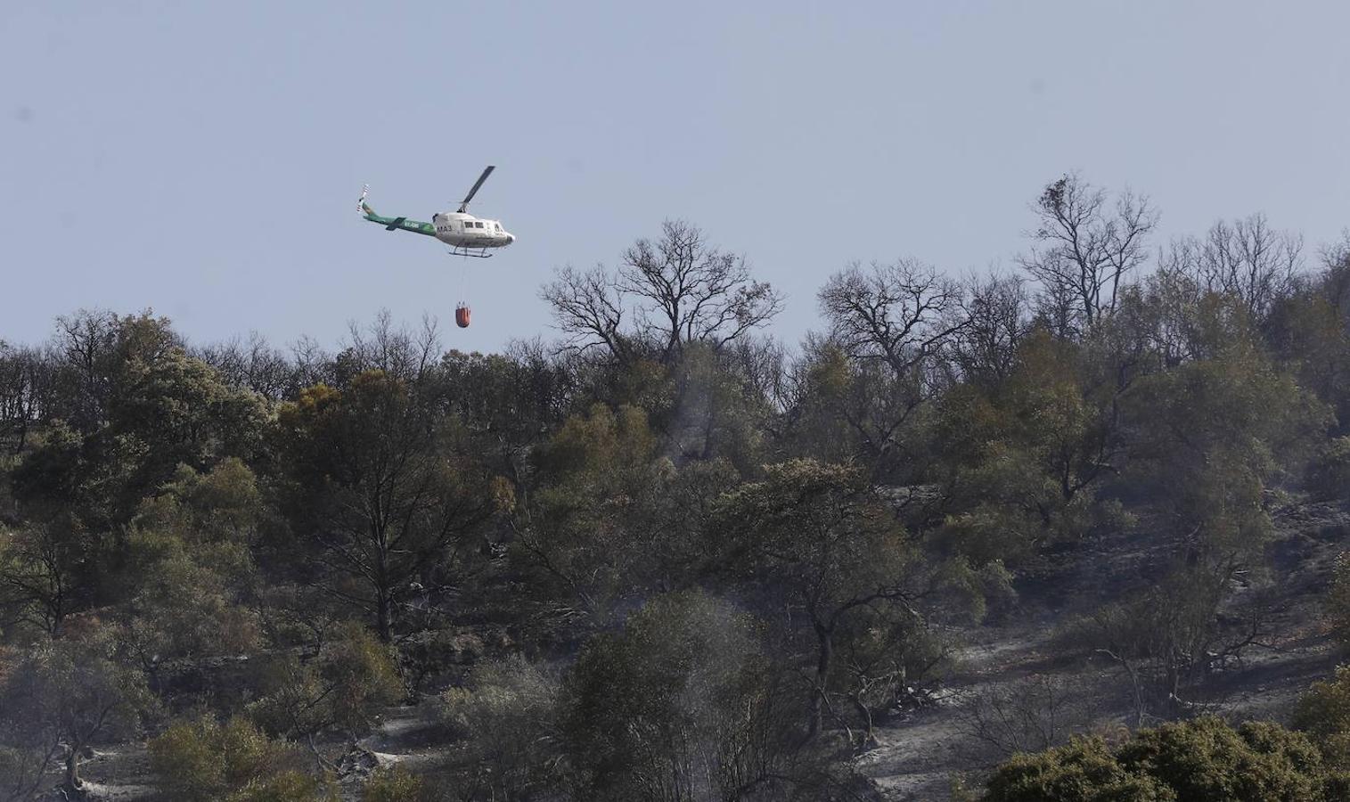 La extinción del incendio forestal de Villaharta, en imágenes