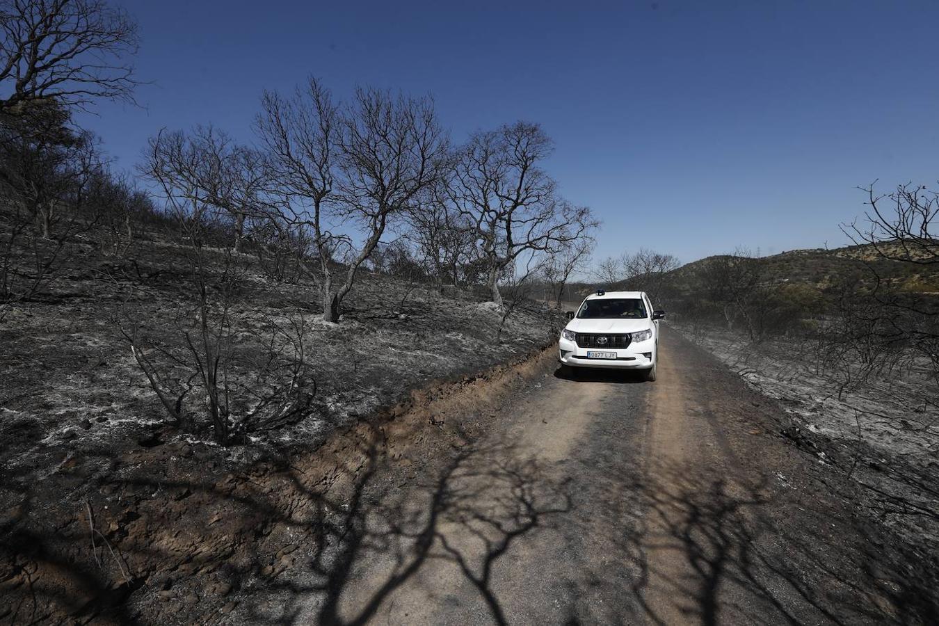 La extinción del incendio forestal de Villaharta, en imágenes