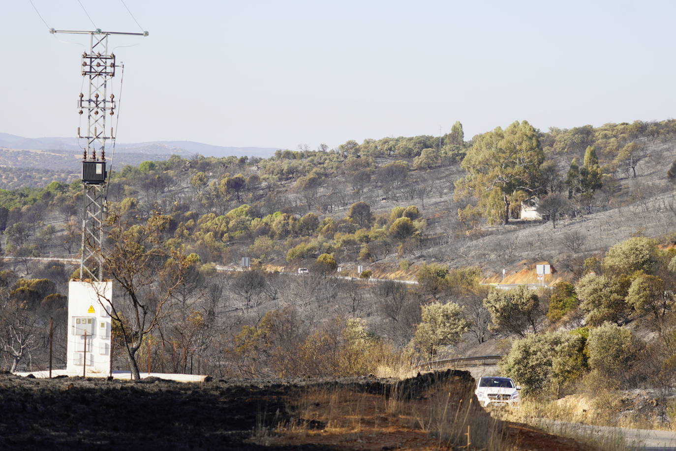 El incendio forestal de Alcaracejos, en imágenes