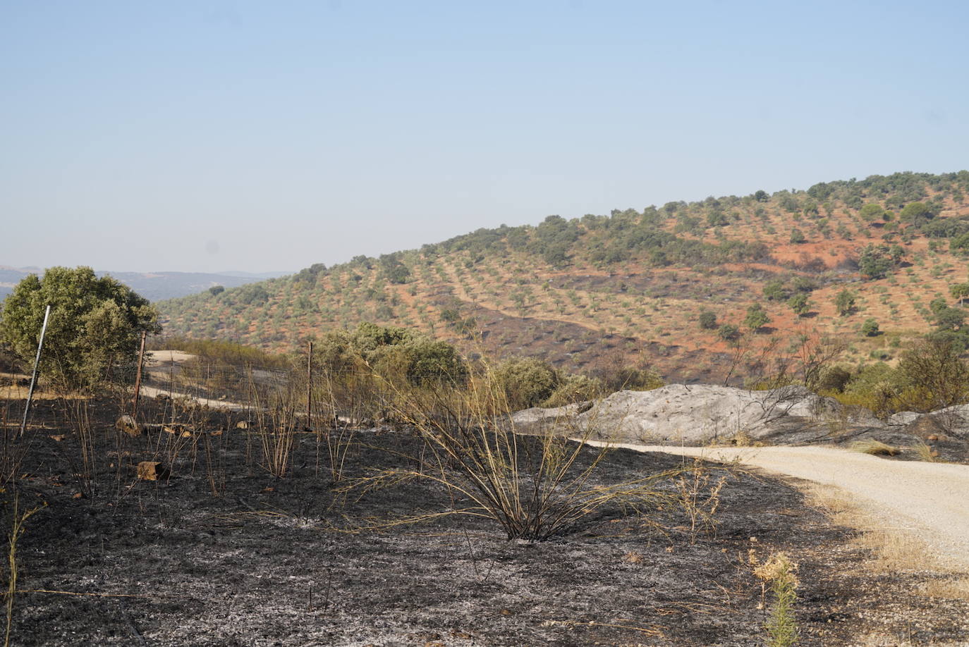 El incendio forestal de Alcaracejos, en imágenes