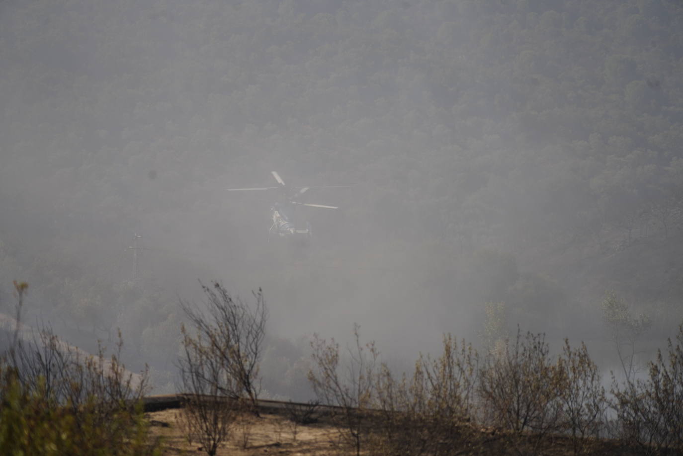 El incendio forestal de Alcaracejos, en imágenes