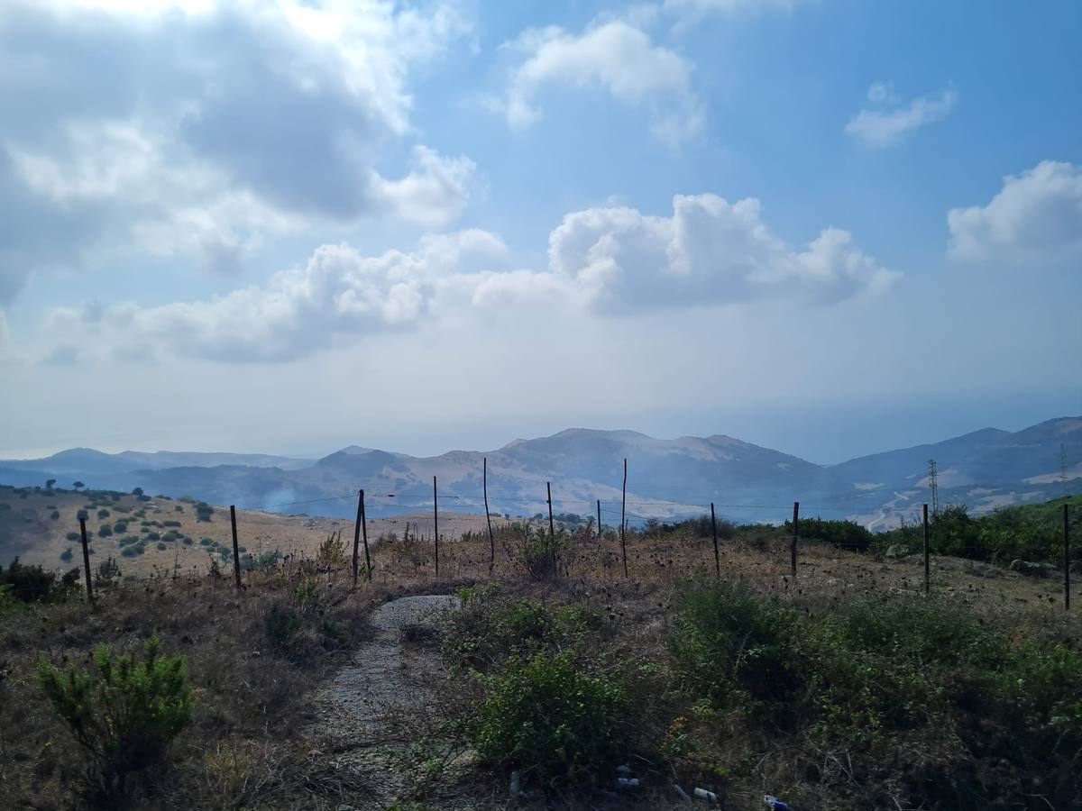 Fotos: El incendio de Tarifa se reactiva a causa del viento