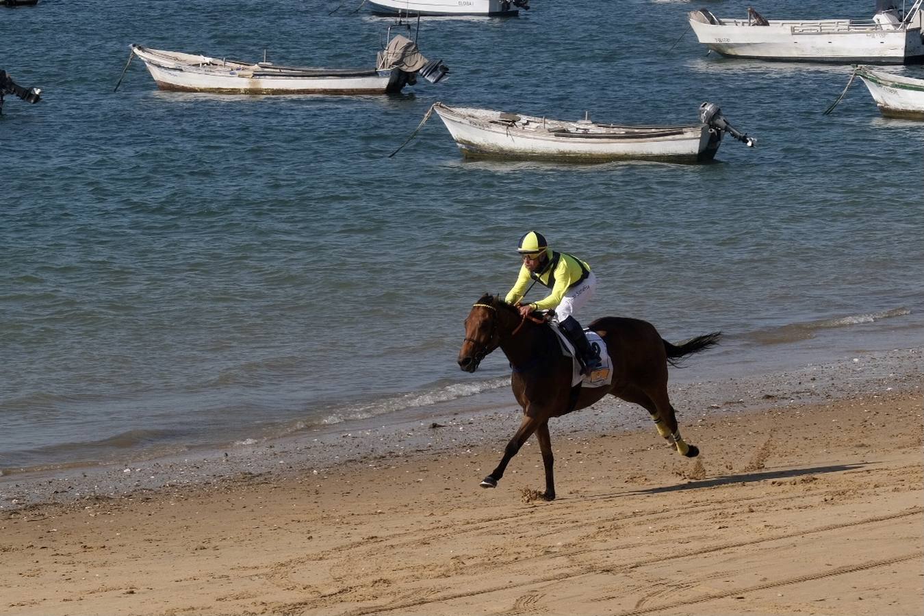 FOTOS: Carreras de Caballos de Sanlúcar. Último día del Segundo ciclo