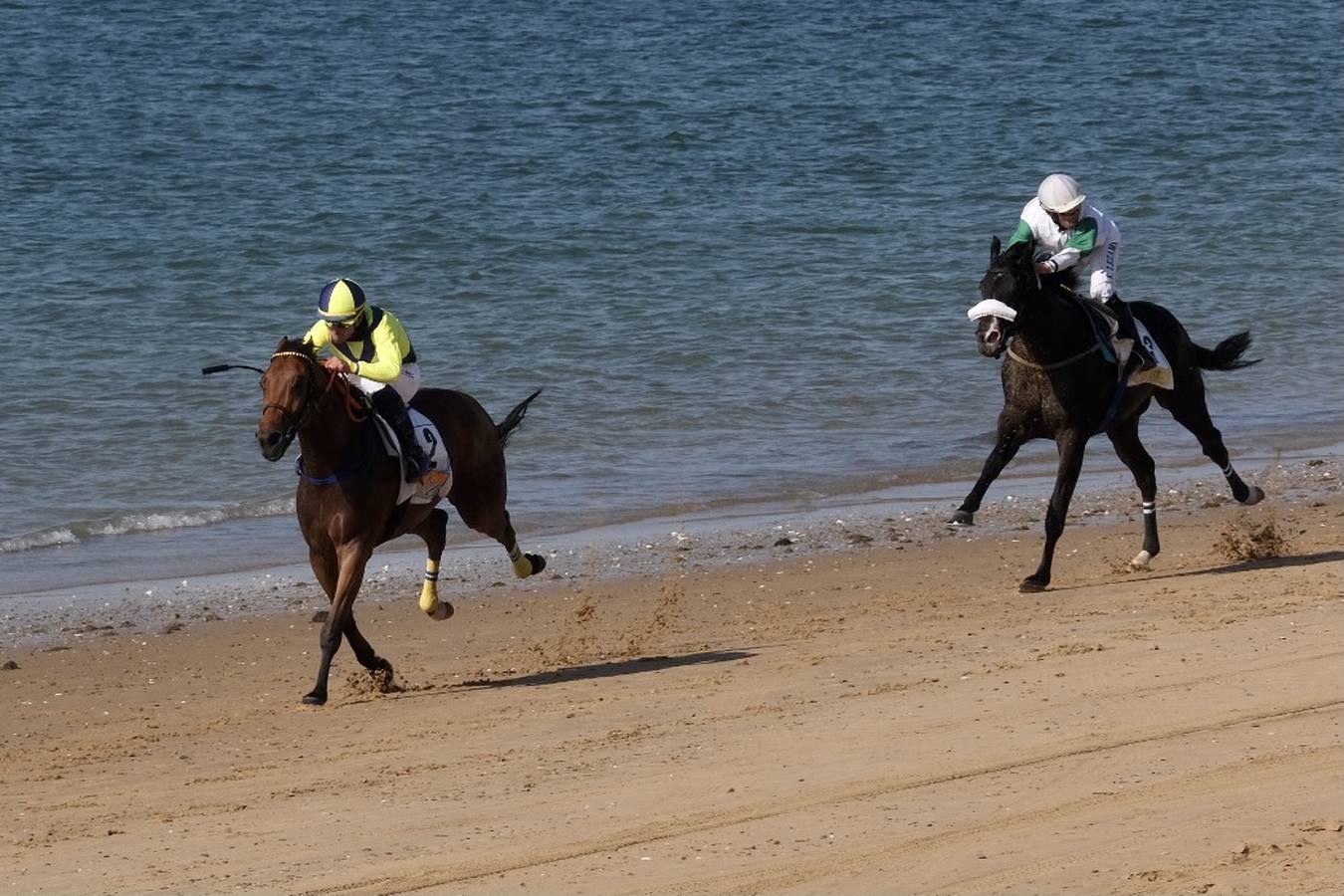 FOTOS: Carreras de Caballos de Sanlúcar. Último día del Segundo ciclo