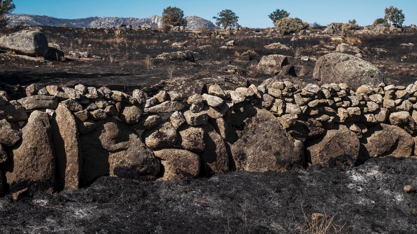 Así está la sierra de la Paramera tras el incendio de Ávila