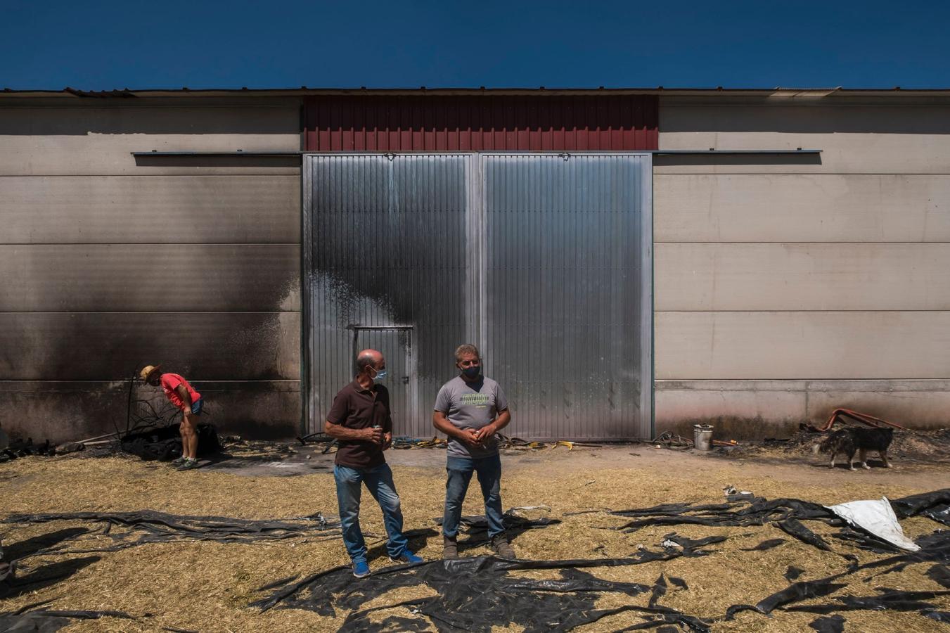 Así está la sierra de la Paramera tras el incendio de Ávila