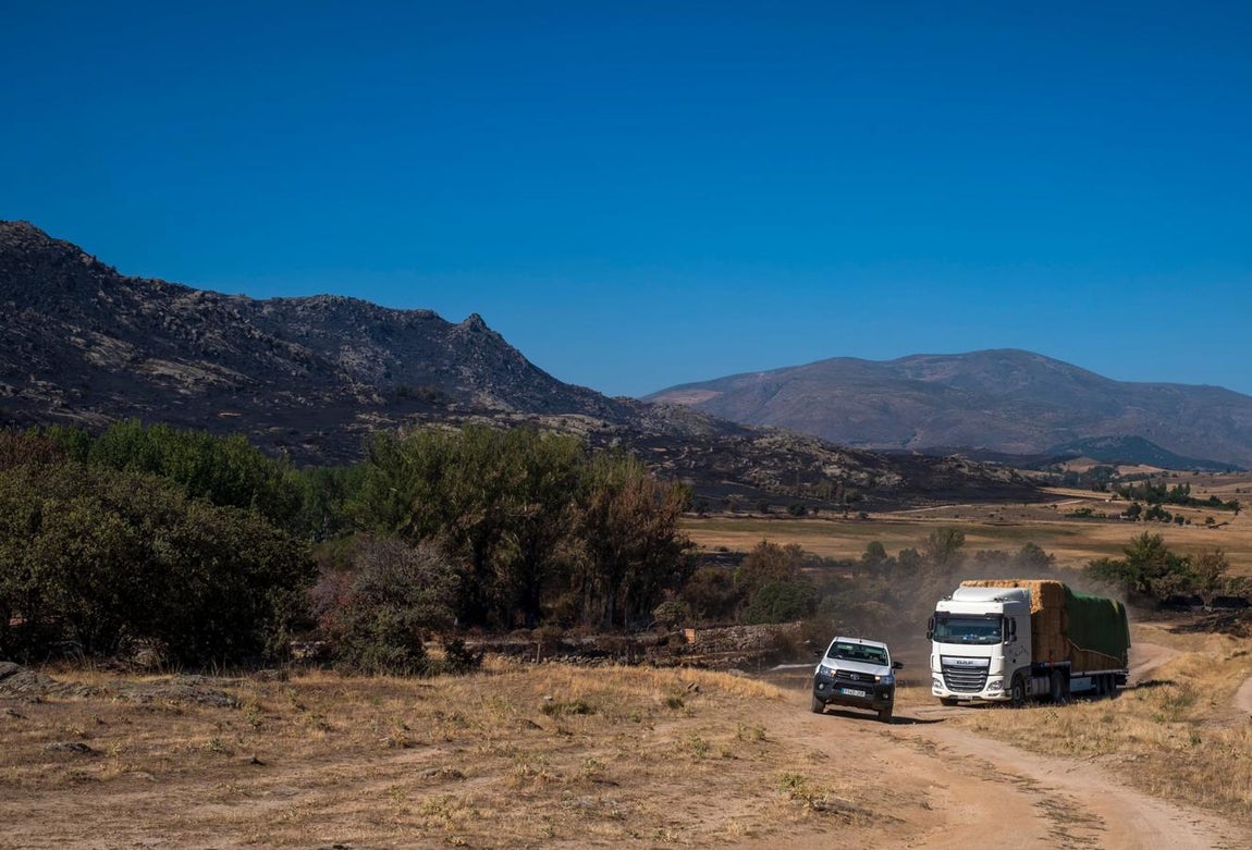 Así está la sierra de la Paramera tras el incendio de Ávila