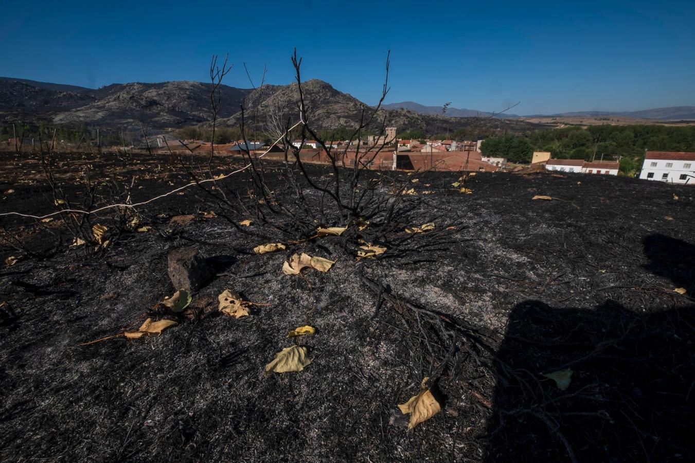 Así está la sierra de la Paramera tras el incendio de Ávila