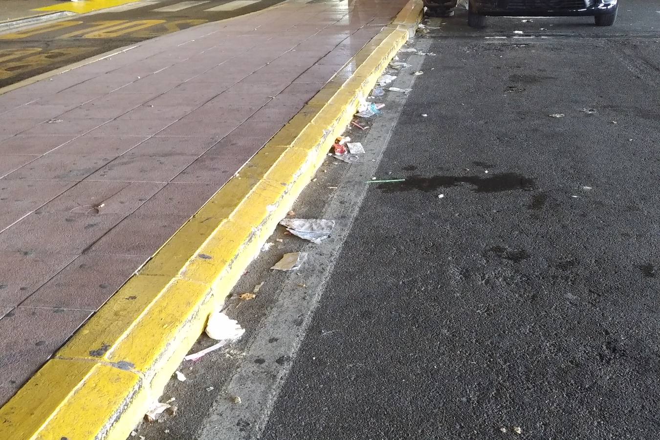 Suciedad y abandono en los alrededores del aeropuerto y las estaciones de tren y autobús de Sevilla