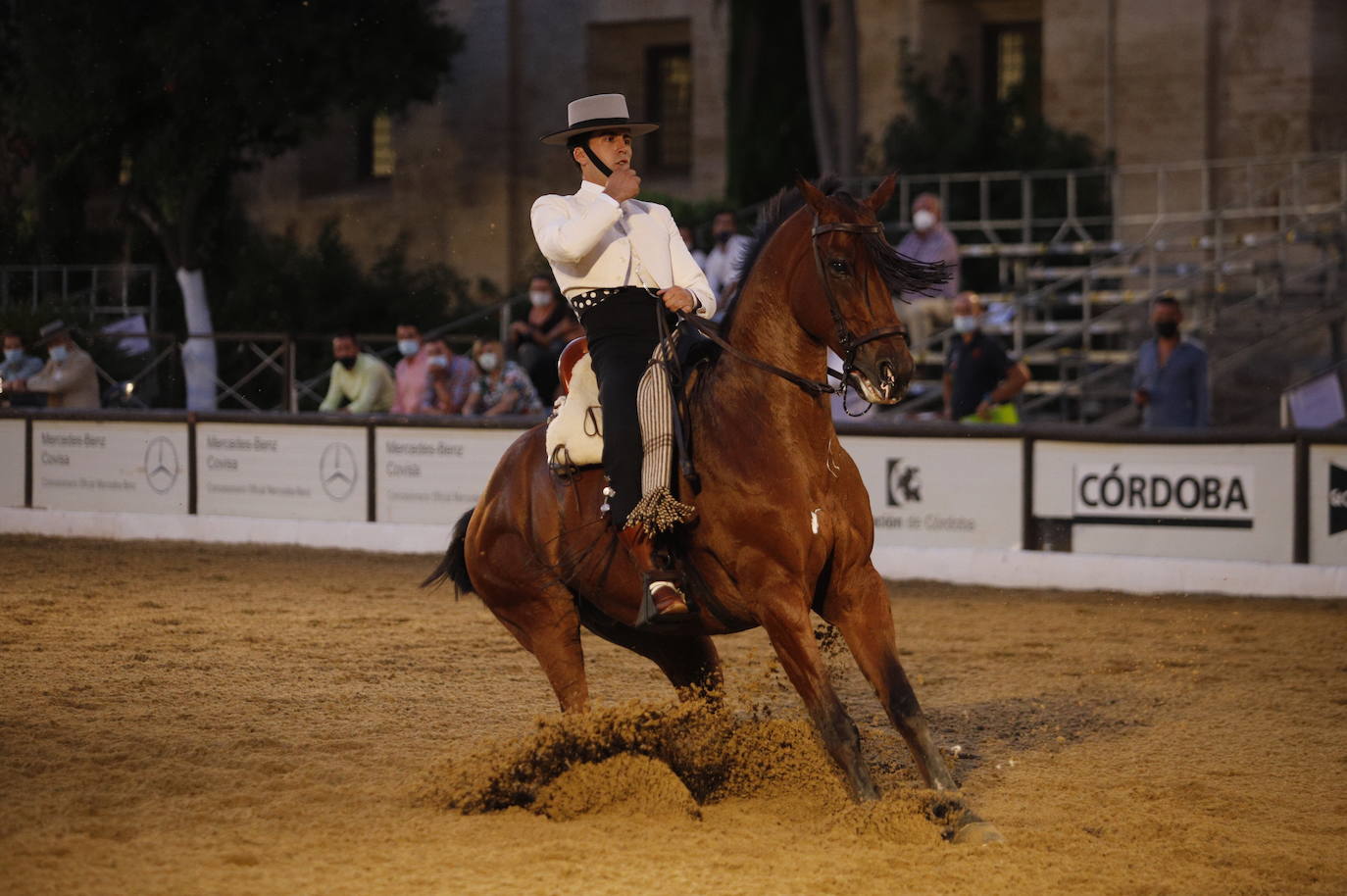 El arranque de la Copa de España de Doma Vaquera en Córdoba, en imágenes