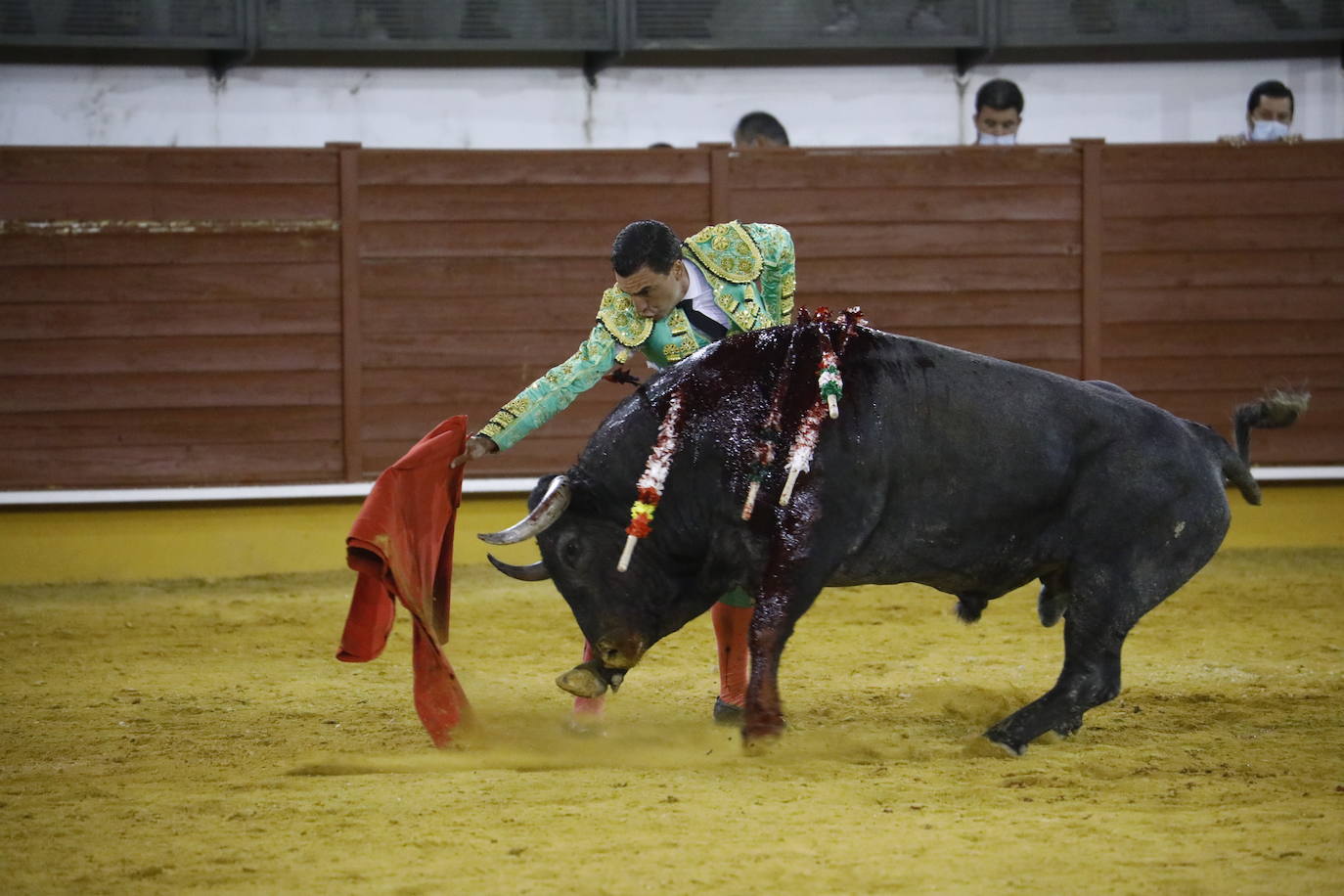 La corrida de toros en Priego de Córdoba, en imágenes