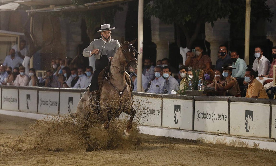 La final del Concurso Nacional de Doma Vaquera en Córdoba, en imágenes