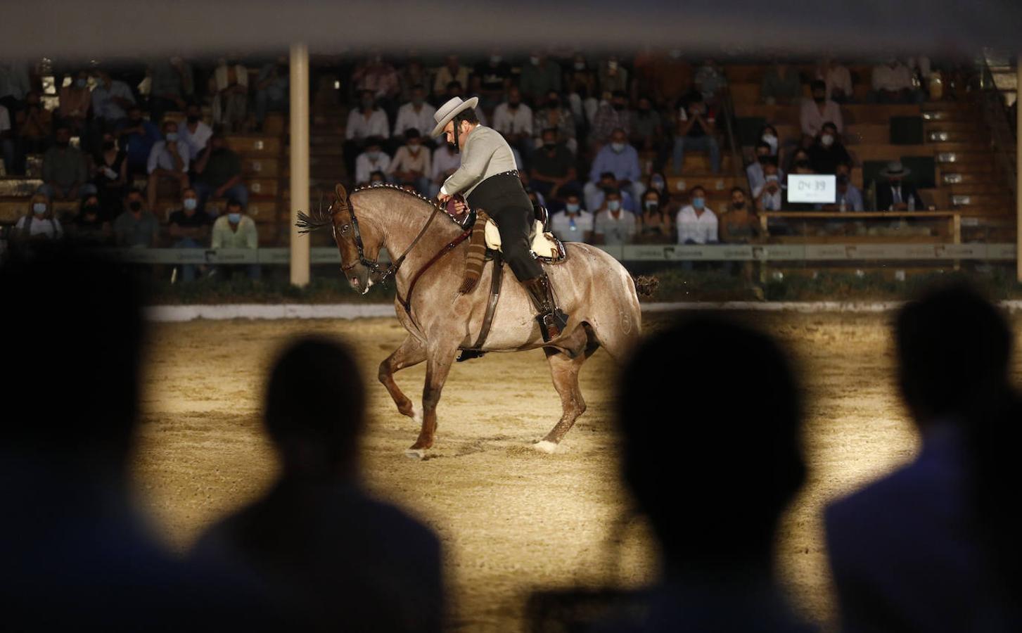 La final del Concurso Nacional de Doma Vaquera en Córdoba, en imágenes