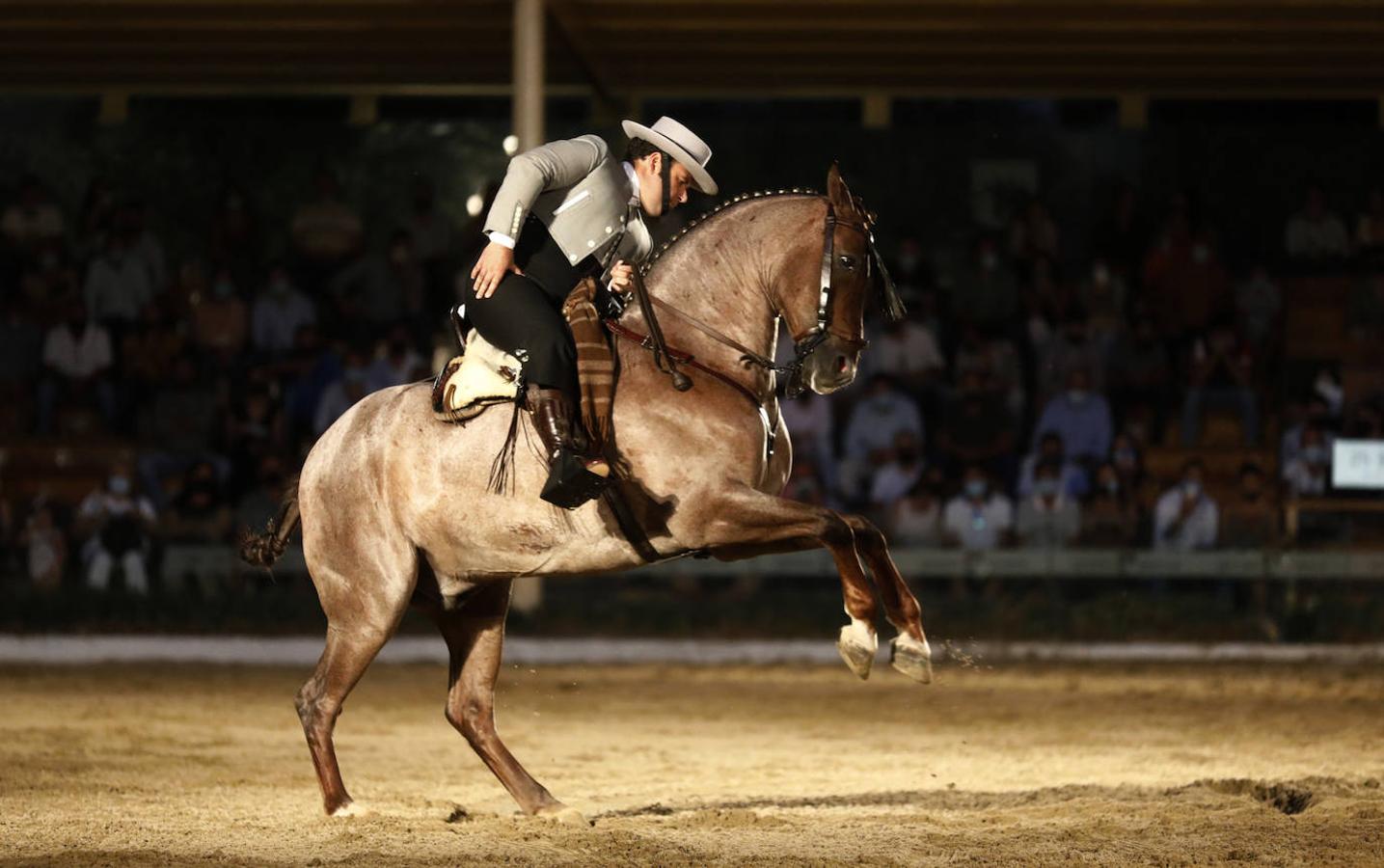 La final del Concurso Nacional de Doma Vaquera en Córdoba, en imágenes