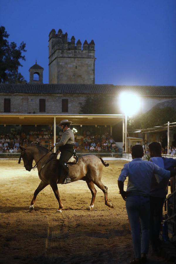 La final del Concurso Nacional de Doma Vaquera en Córdoba, en imágenes