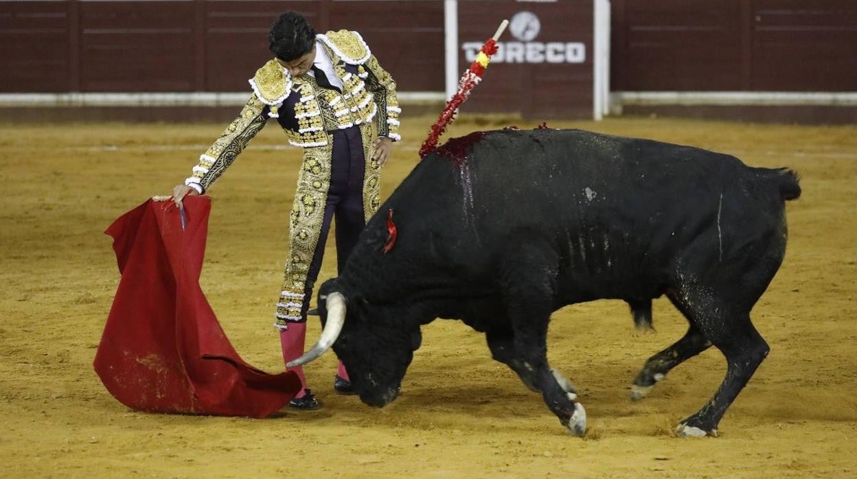 Toros | En imágenes, el triunfo de Aguado y Juan Ortega en Lucena