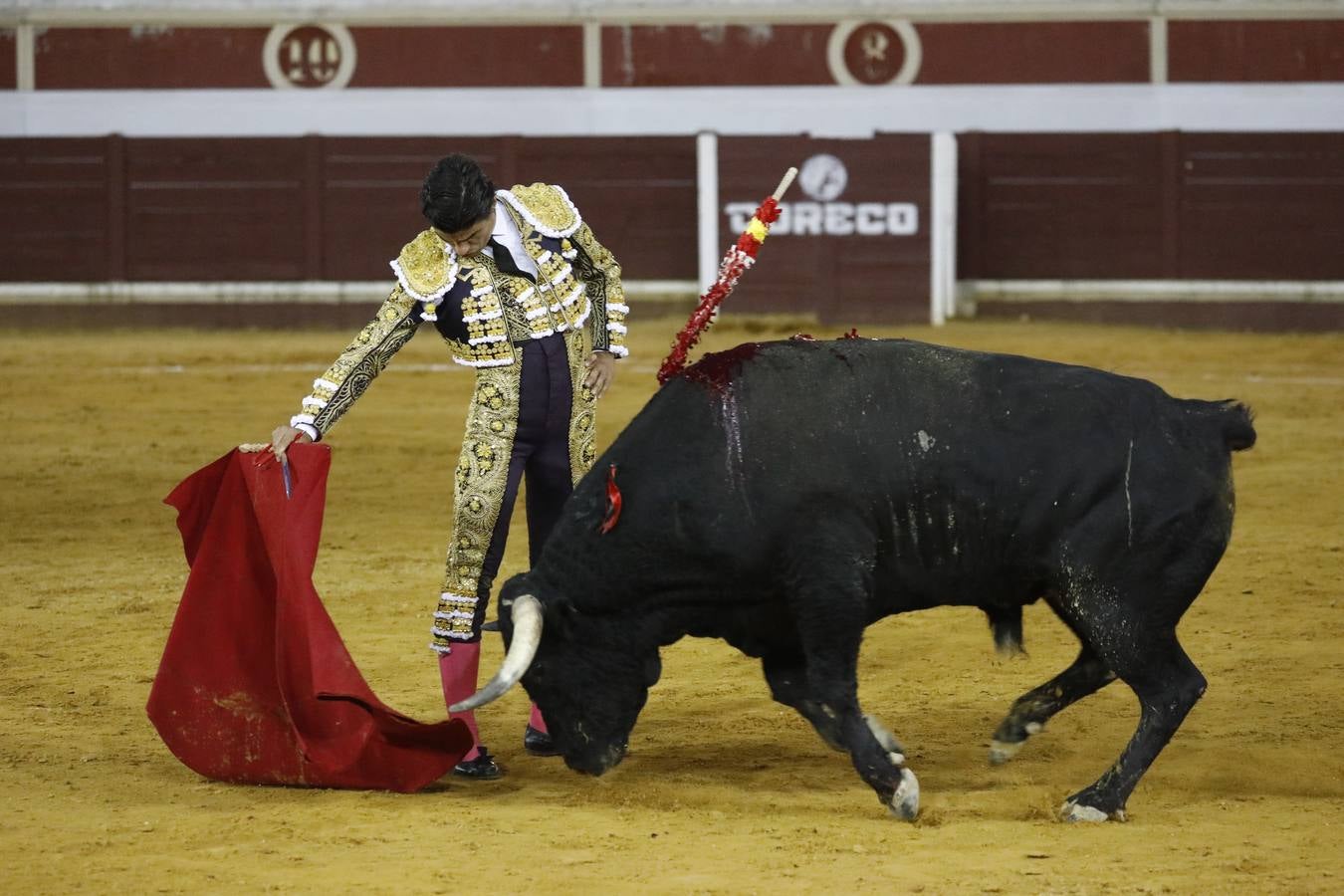 Toros en Lucena | Juan Ortega y Pablo Aguado a hombros ante un deslucido encierro de Murube