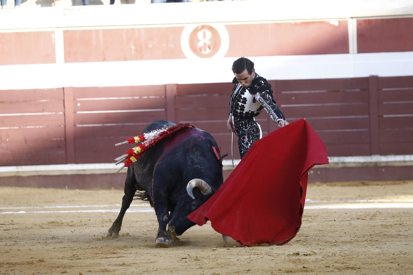 Toros | En imágenes, el triunfo de Aguado y Juan Ortega en Lucena