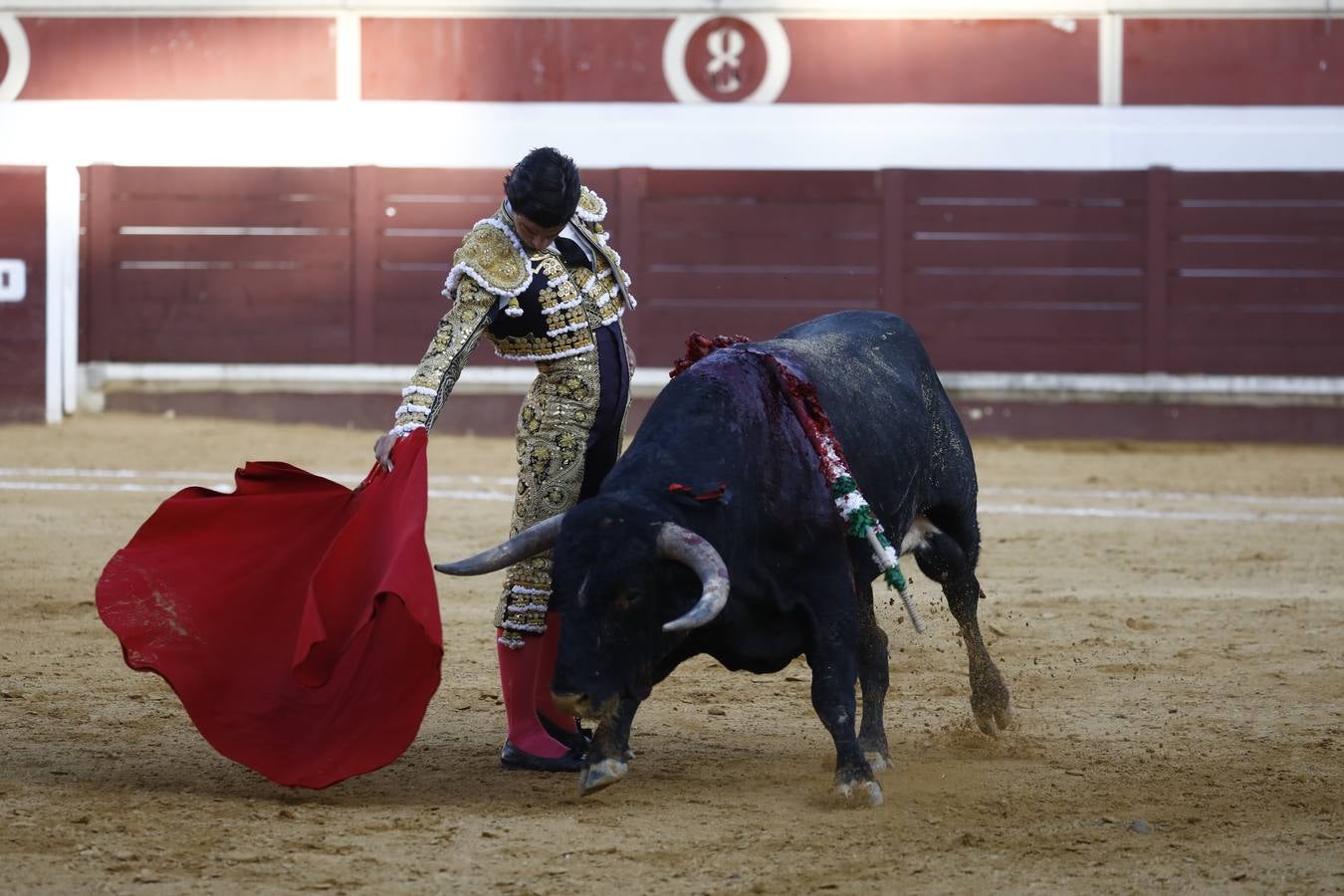 Toros | En imágenes, el triunfo de Aguado y Juan Ortega en Lucena