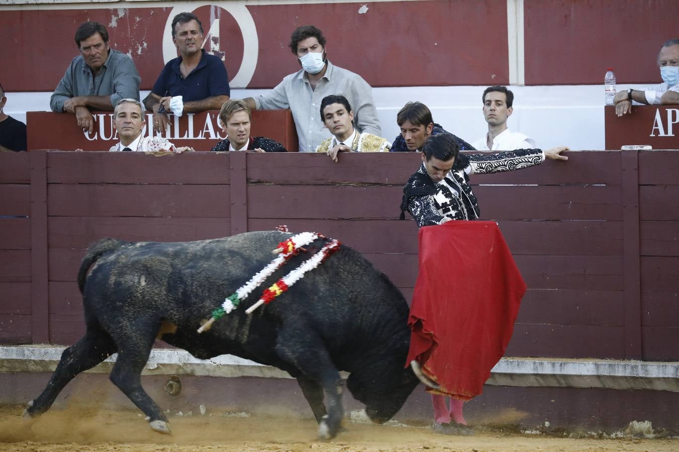 Toros | En imágenes, el triunfo de Aguado y Juan Ortega en Lucena