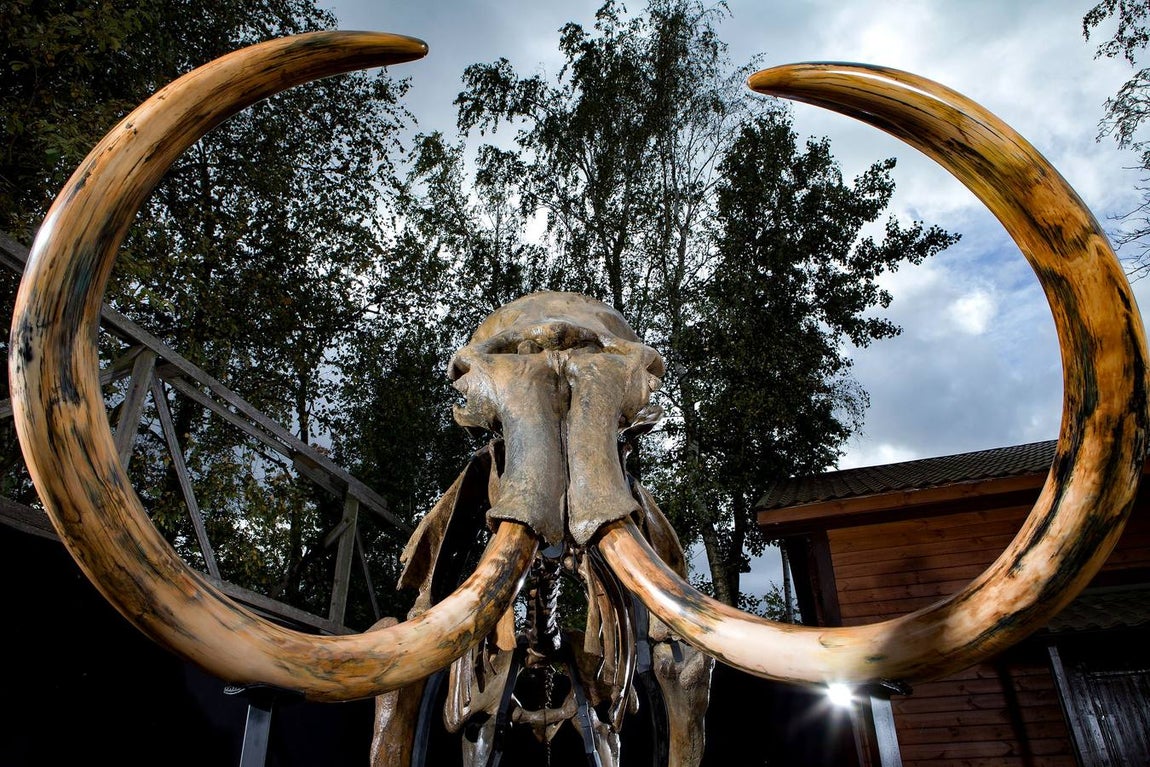 Programación de CaixaForum en esta nueva temporada