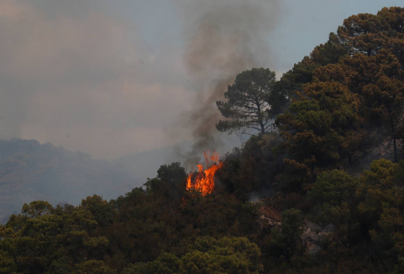 Incendio en Sierra Bermeja