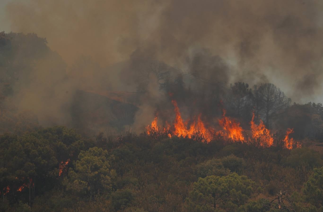 Incendio en Sierra Bermeja