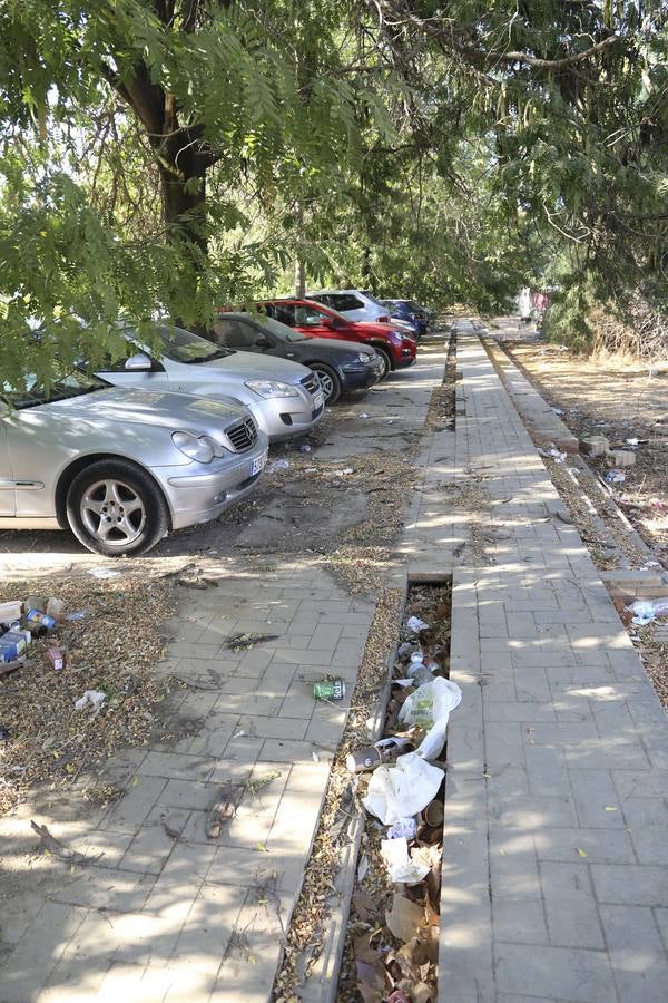 Fotogalería: Desperfectos, abandono y suciedad en la Cartuja