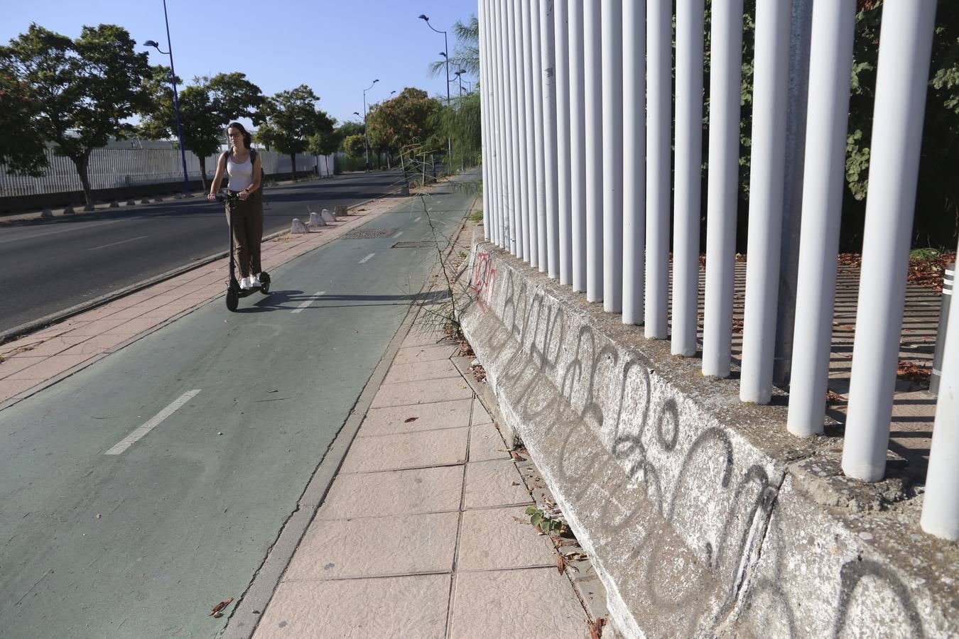 Fotogalería: Desperfectos, abandono y suciedad en la Cartuja