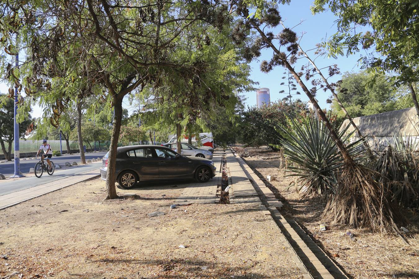 Fotogalería: Desperfectos, abandono y suciedad en la Cartuja