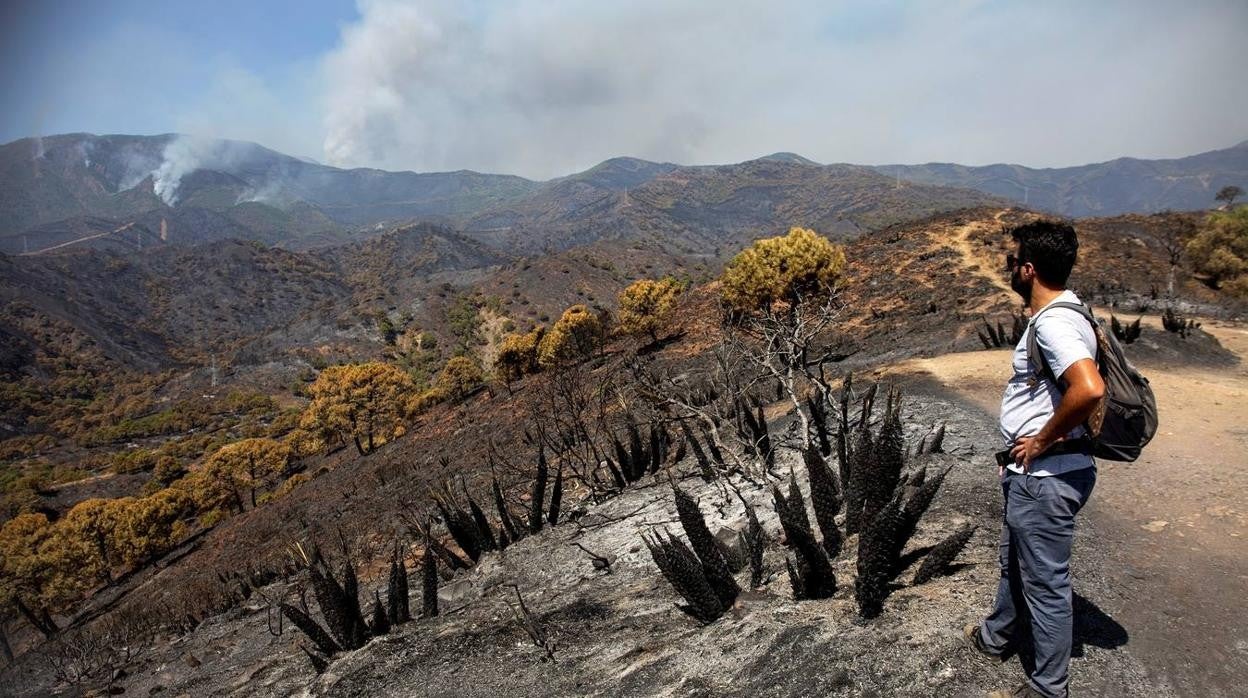 En imágenes, incendio de Sierra de Bermeja en Málaga