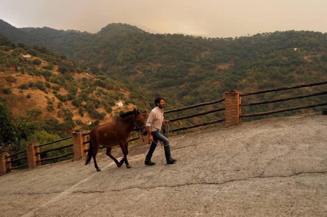 En imágenes, incendio de Sierra de Bermeja en Málaga