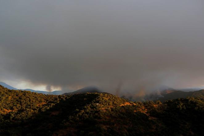 En imágenes, incendio de Sierra de Bermeja en Málaga