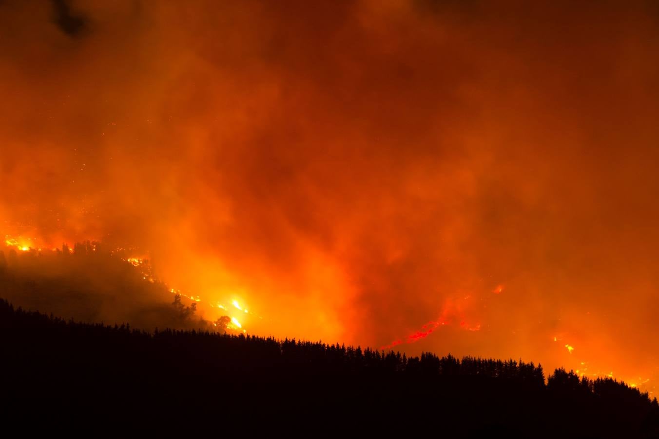 Un helicóptero choca contra un árbol en las tareas de extinción del incendio de Sierra Bermeja