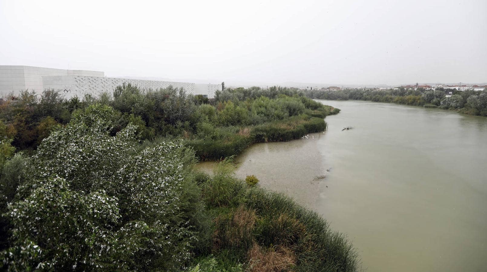 El estado del primer tramo del río que se limpiará en Córdoba, en imágenes