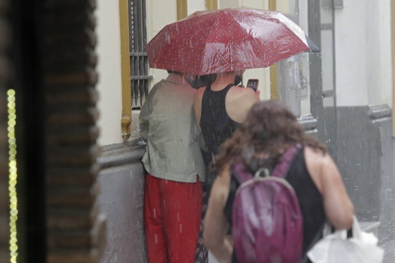 La lluvia deja un acumulado de casi 27 litros por metro cuadrado en Sevilla