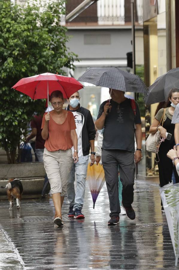 La lluvia deja un acumulado de casi 27 litros por metro cuadrado en Sevilla