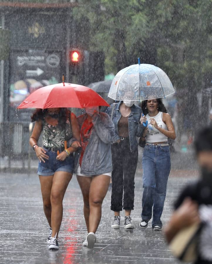 La lluvia deja un acumulado de casi 27 litros por metro cuadrado en Sevilla