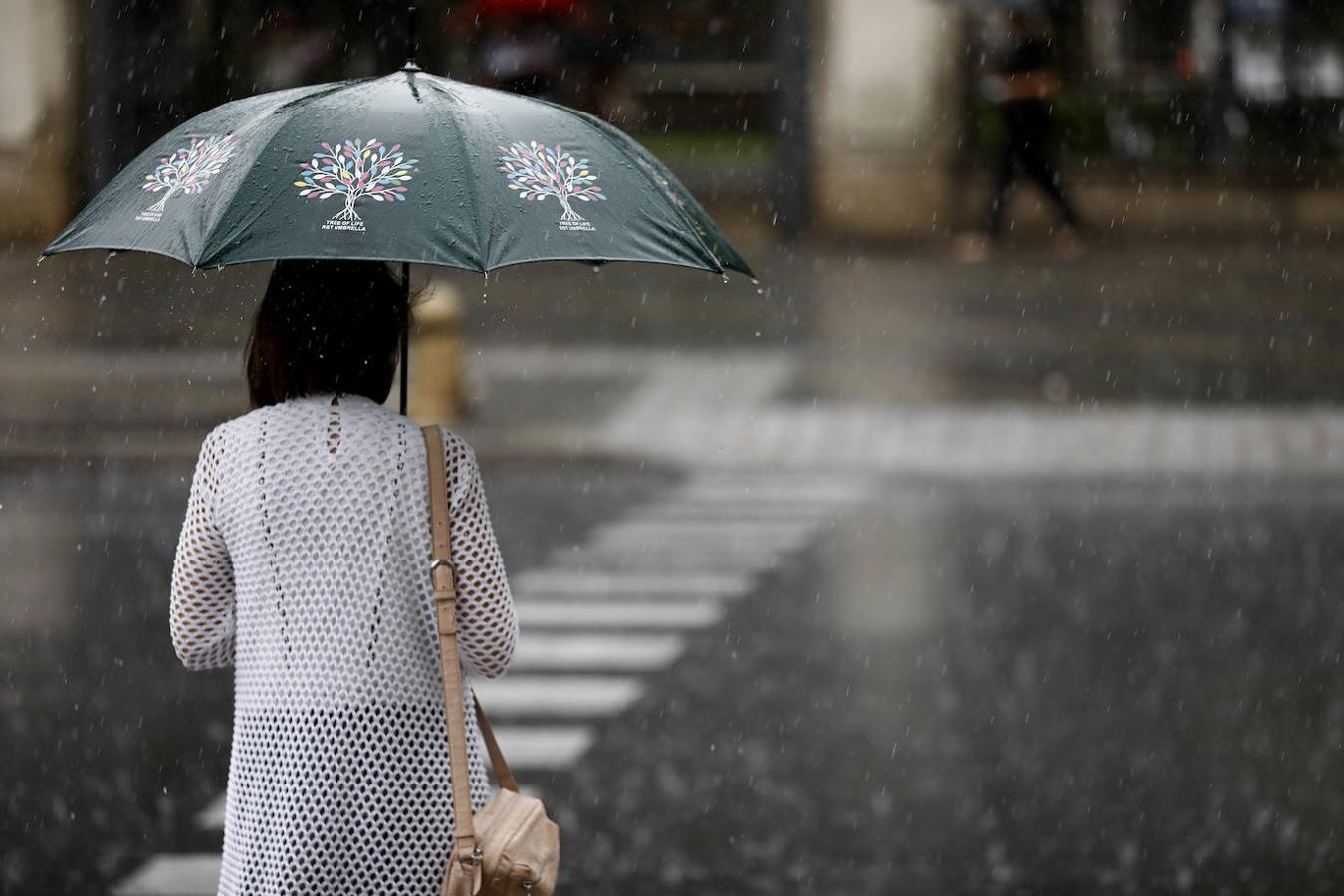 El regreso de las lluvias a Córdoba, en imágenes